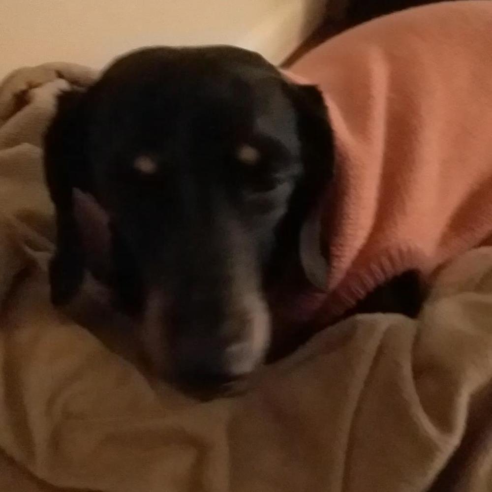 Meet your Posher, Faith